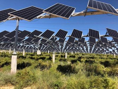 突破1GW！日本农业光伏项目开发的新指南